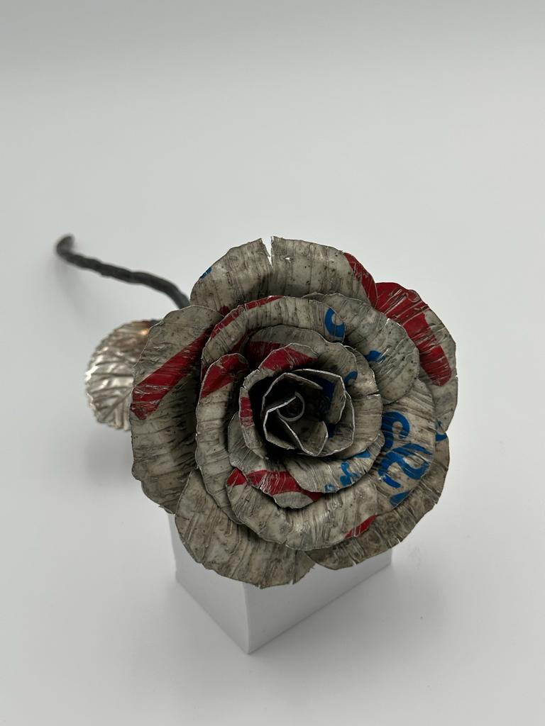"Plate Rose"