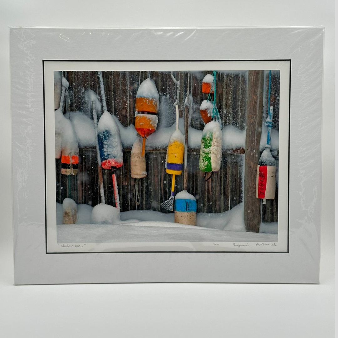 "Winter Hues" photograph